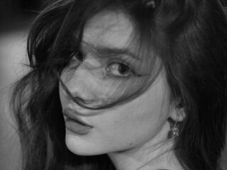 live video chat VelvetMeow